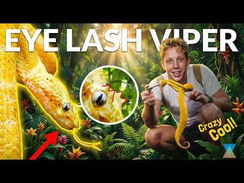 Why This Yellow Snake Has Eyelashes?