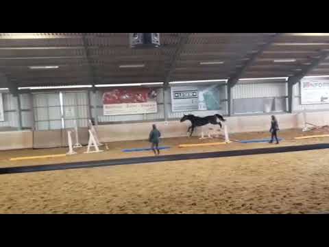 Teilnehmer Verkaufsschau 13.11.2021 Mühlberg