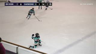 HIGHLIGHTS | BHA vs NLCS | 2025. 10. 31 | CITRUS CUP 2025