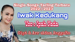 Download lagu tarling terbaru 2022 2023 IWAK KEDUKANG Voc Ipah N... mp3