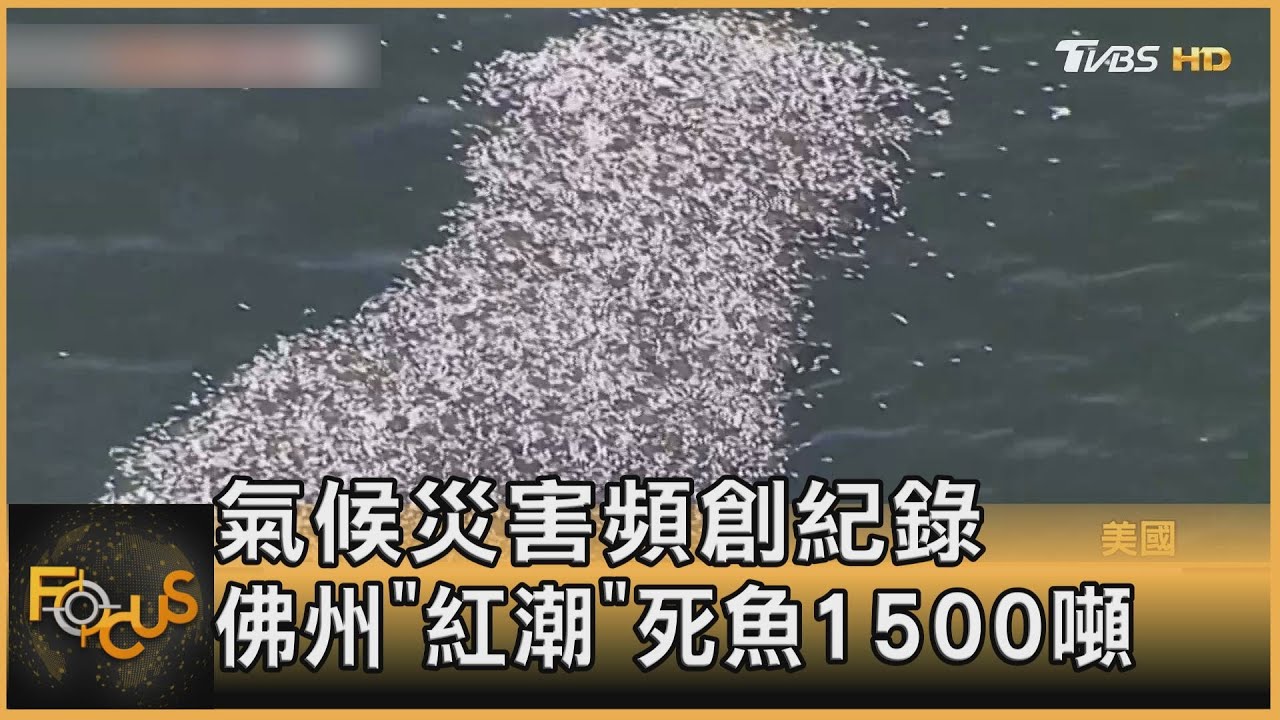 氣候災害頻創紀錄 佛州「紅潮」死魚1500噸