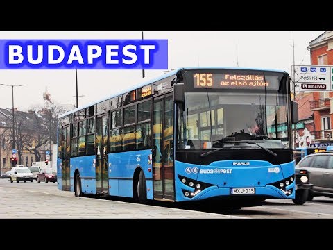 Autobusy w Budapeszcie / Budapest Buses