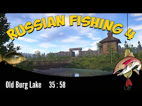 Russian fishing 4 - old burg lake - carp spot