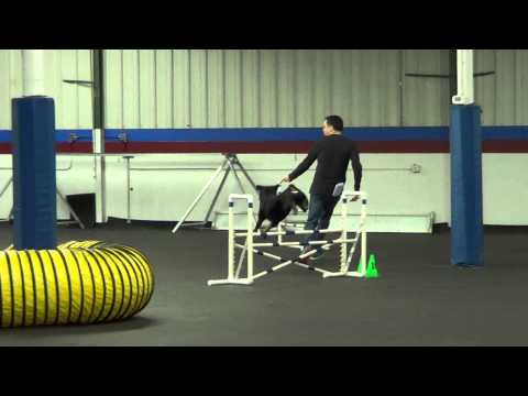 Portia Jumpers CSGC 022815