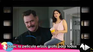 Las 5 del #Cine #Sonic la película ¡Erizos gratis para todos!