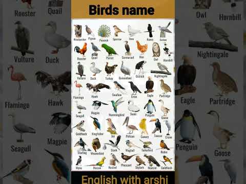 A to Z Birds names// Birds Name English Vocabulary//  100 birds name in images with English name