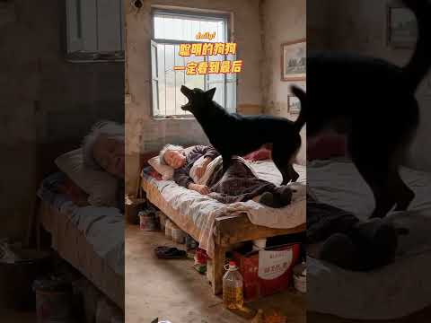 Cute Mexica Plush Dancing Cactus Electric Plush Toy 🐚🐌 #funny #funai 💫 P217