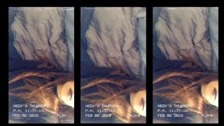 neek - words i shouldn&#39;t have - (bts)