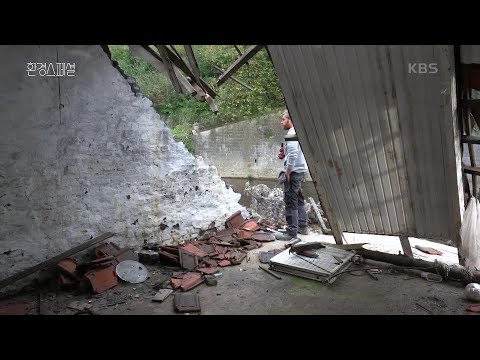 기후변화로 파괴된 벨기에 빠빵스떼흐 [UHD 환경스페셜] | KBS 211014 방송