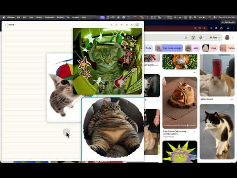Item video thumbnail