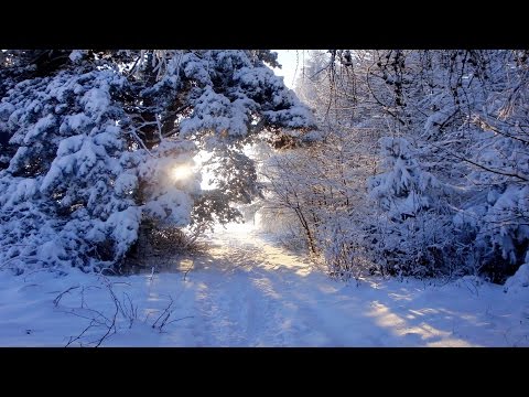 "E SARA NATALE"-ANDREA PARODI-(TAZENDA)-Canzone Italiana di Natale-TESTO TEXTE LYRICS TEXT