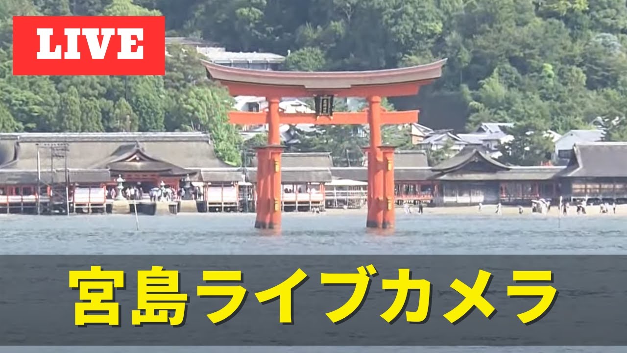 Miyajima Live Camera