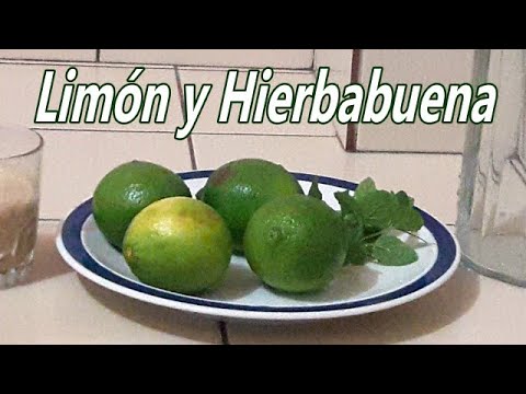 Bebida refrescante de Hierbabuena y Limón: Sus beneficios