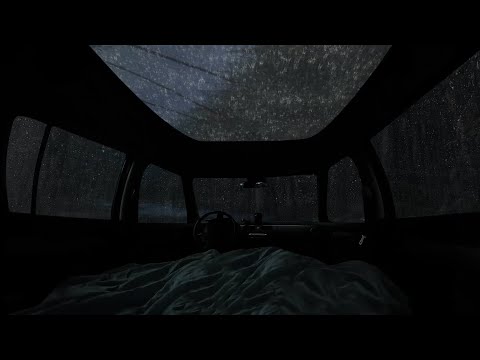 No Ads,Cozy Car Rain Ambience_Gentle Thunder & Soft Rain Sounds for Deep Sleep and Insomnia Relief🌧️