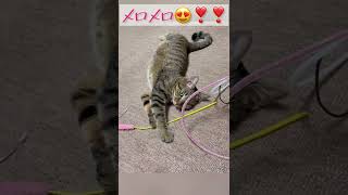 😍❣️😍❣️😍❣️😍❣️