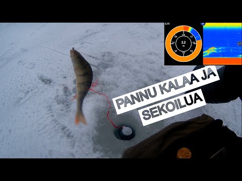 AHVEN VAIKEALLA SYÖNNILLÄ - PILKKIMISTÄ 2023 #2