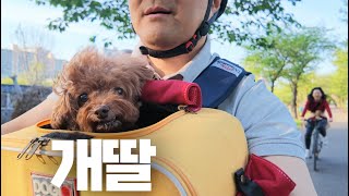 아직도 아기 같은 우리 딸! 10살 개딸에 빠져 좋아 죽는 50대 부부.ㅋㅋㅋㅋ