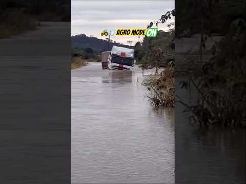 Muita Chuva no Mato Grosso