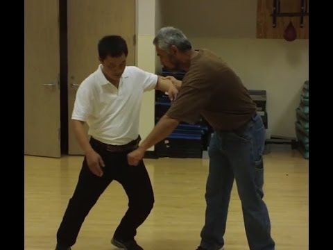 Push Hands: Center of Mass vs Tai Ji Pivot
