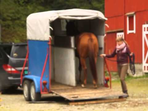 Verladetraining KA Al-Nabih Teil II