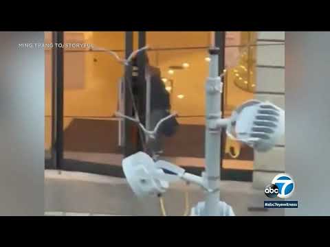 Armed man holds hostage inside Amsterdam Apple Store for crypto ransom, run over by officers I ABC7