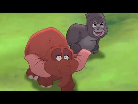 Créditos Finales || (1/4) || Tarzán 2 (2005).