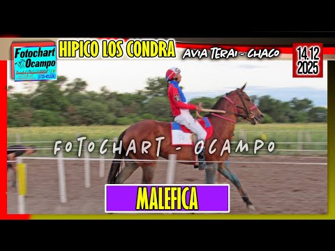 MALEFICA Avia Terai CH 14 12 2025