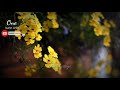 Chellikuttiye Bgm Avasta Love Song