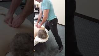 Advanced Massage Body Mechanics: Pause, Move, Lean