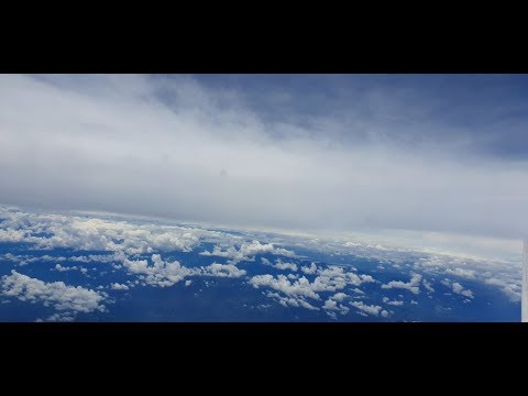 Mad Tree - De Vuelta A Casa (Video Oficial)