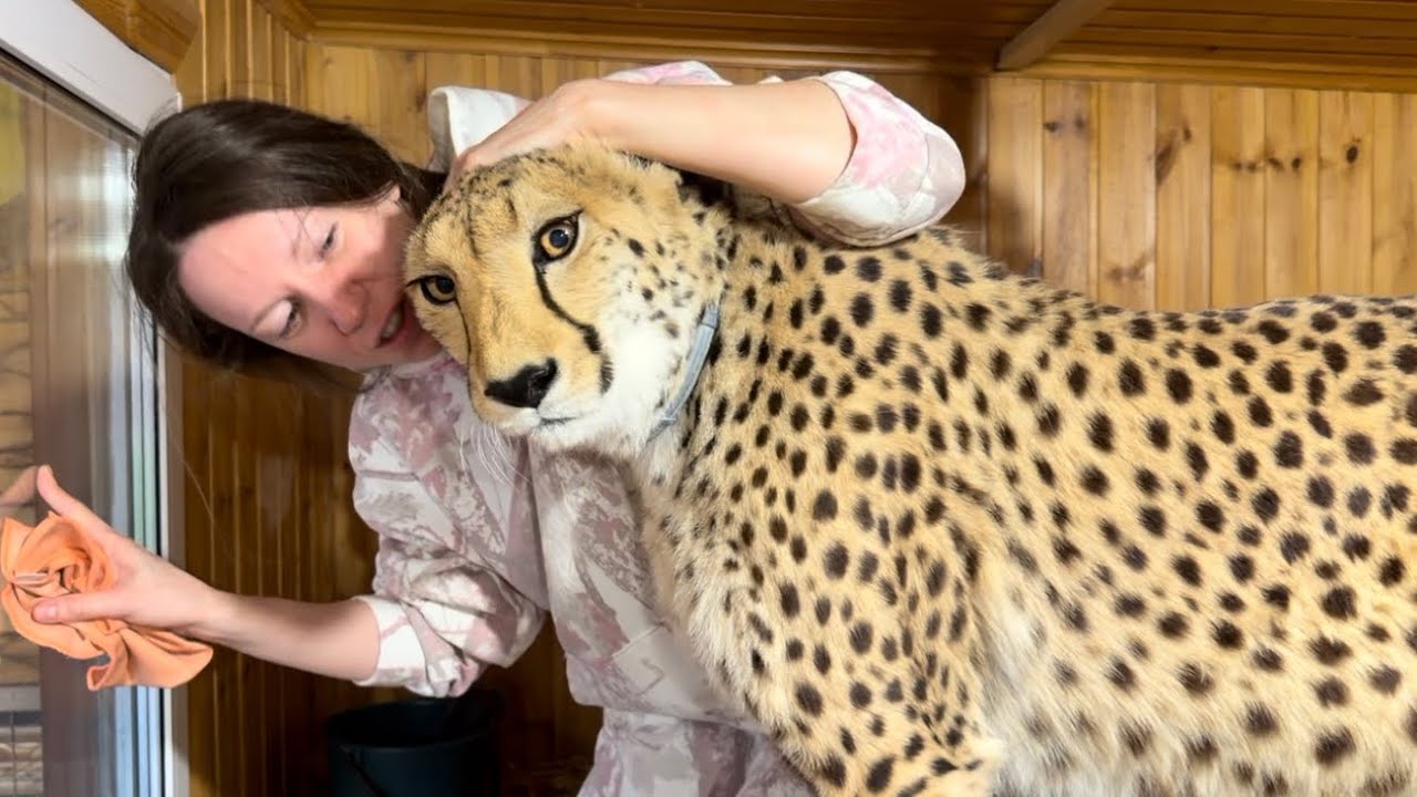 Затискать Герду так что она сбежала от Маши!