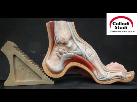 Radiografie dellanca a casa a San Pietroburgo Ginnastica di stretching cervicale della colonna vertebrale toracica