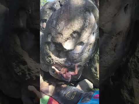 Beetlejuice 7a+  -fontainebleau-