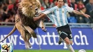 Download lagu Kumpulan Video Lucu Sepak Bikin Ngakak Terbaru 2016~Football Funny 2016 mp3