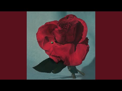 Download METZ - Entwined: Street Light Buzz MP3