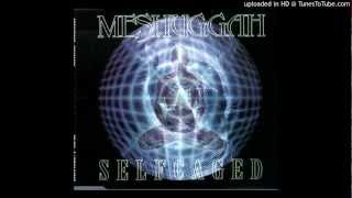 Meshuggah - Inside What&#39;s Within Behind (Selfcaged)