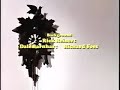 Opening To Winnie The Pooh And A Day For Eeyore 1993 VHS