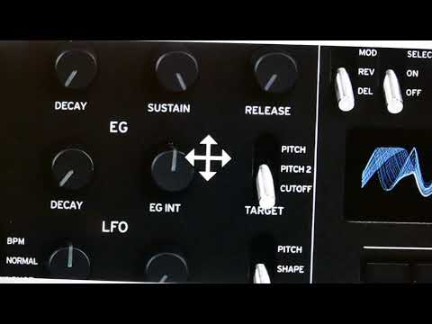 KORG MINILOGUE XD (PART 3): HOW TO USE THE EG / REMEMBER THE EG INT !