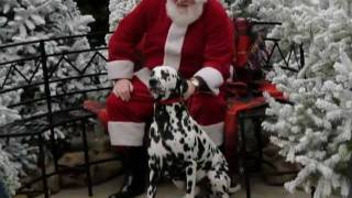 preview picture of video 'Pets with Santa at Minter Country Gardens'