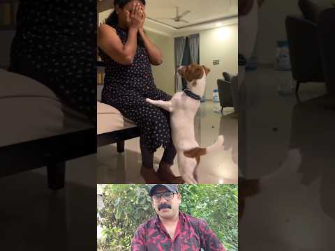 You acted like you were crying 😥🥰 #shorts #viralvideo #dog #reaction