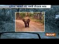 Angry elephant chases tourists at Jim Corbett National Park