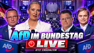LIVE - 93. Sitzung - AfD-Fraktion im Bundestag