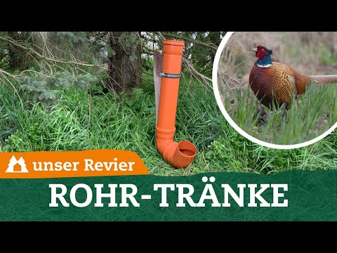 Bauanleitung für eine Niederwild-Tränke | DIY | unser Revier | #65
