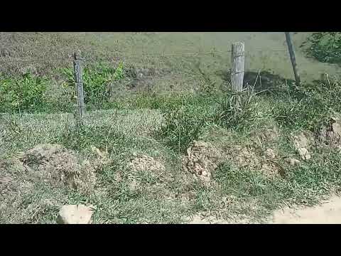 Região de Ribeirão de João Dias Itororó Bahia
