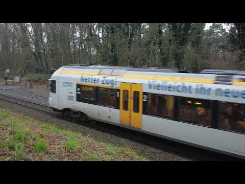 Eurobahn Flirt from Mönchengladbach to Venlo at the border.