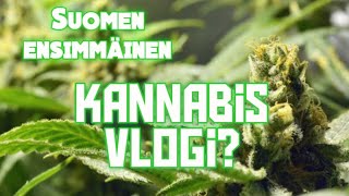 Vlog#40 Kannabis farmi etenee!