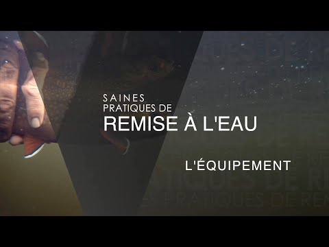 Saines pratiques de remise à l’eau : L’équipement
