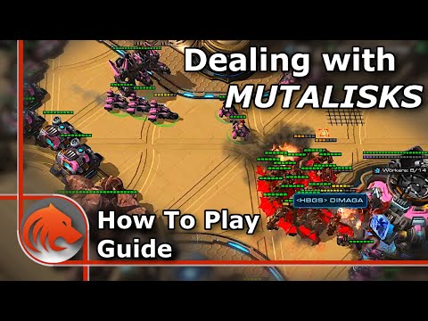 StarCraft 2: How to Deal With Mass Muta Basetrade Strategies