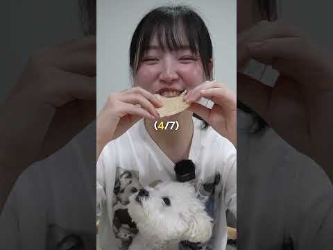 뻥튀기 챌린지를 해보았습니다