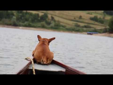 Terreno en Boca del Río — 420 m²